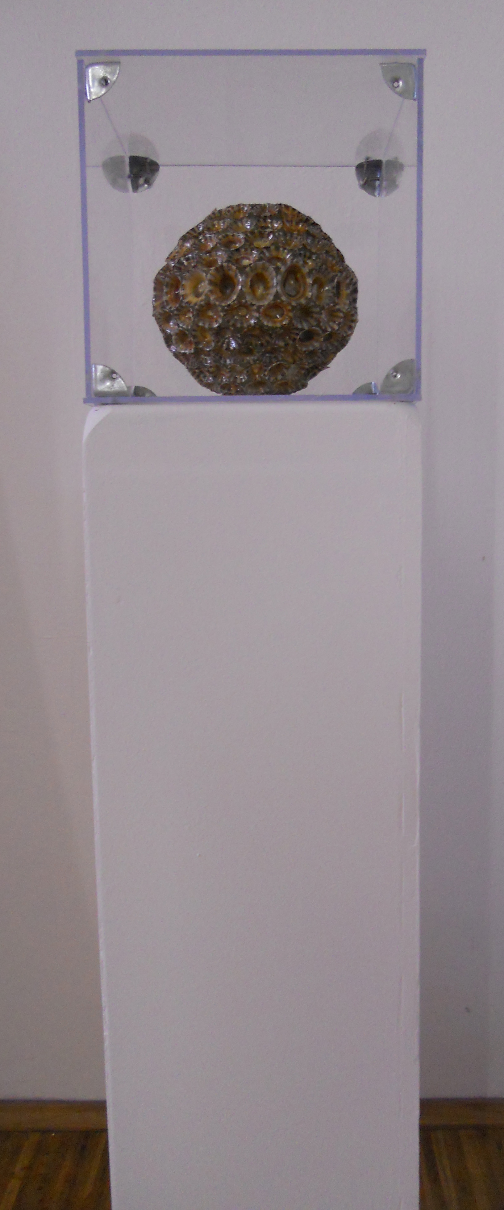 MW 04 (Hohe Aufl&ouml;sung)